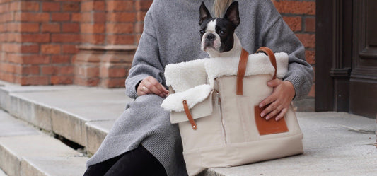 Liiva Dog Carrier & Personal Bag - Beige
