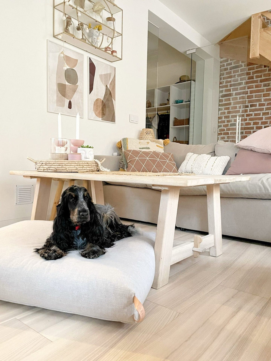 How to Style Your Pet’s Space: Minimalist Dog Gear That Complements Your Home