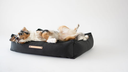 Töve Dog Bed - Anthracite 